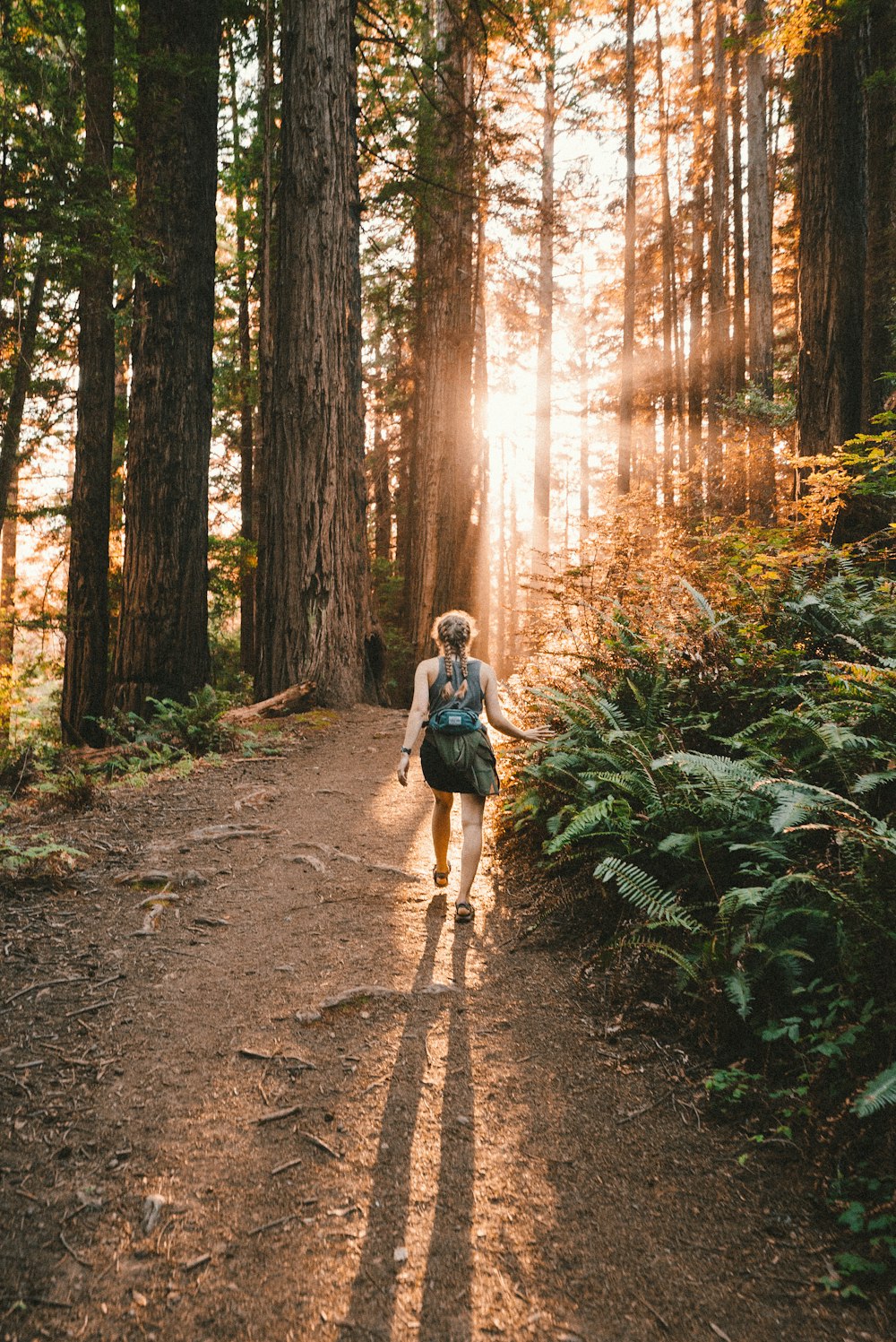 A woman walking down a forest path toward sunlight